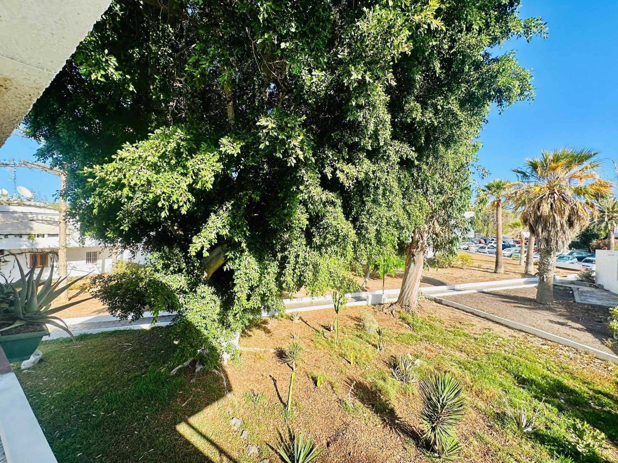 Apartamento Eureka Costa Del Silencio Bagian luar foto